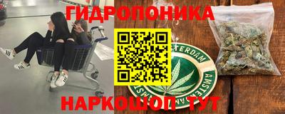 мдпв Будённовск