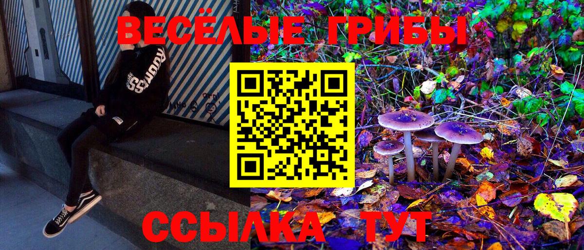 Стерлитамак  Псилоцибиновые грибы Psilocybine cubensis  Вход с VPN 