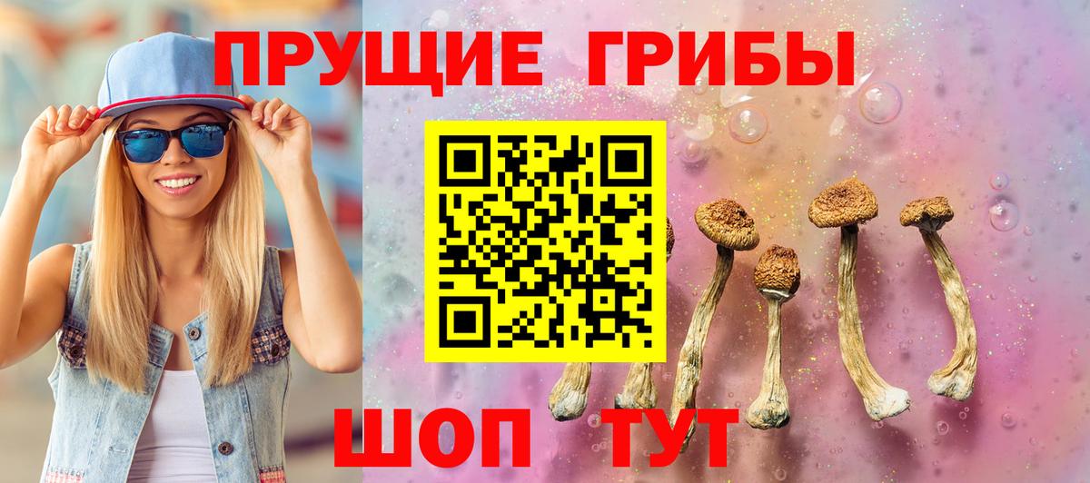 Галлюциногенные грибы Psilocybine cubensis Стерлитамак